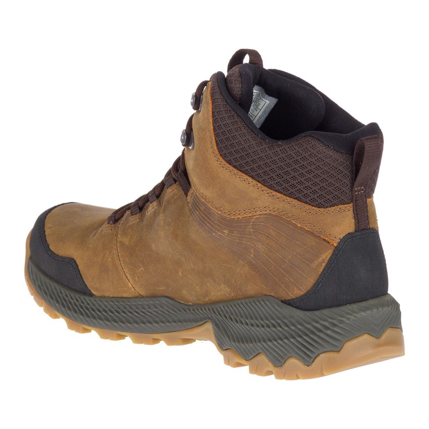 Chaussures Randonnée Merrell Forestbound Mid Waterproof Marron Homme | T.Y.JJCH